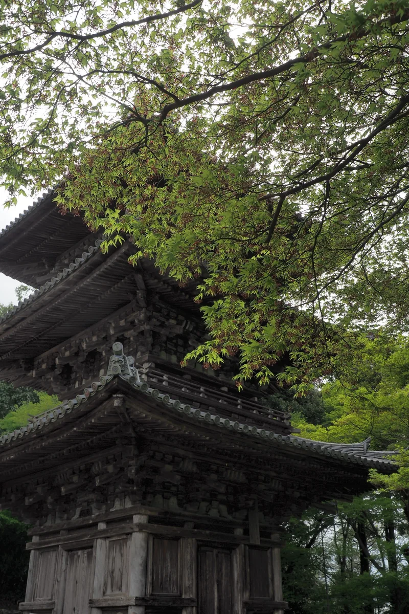 投稿写真：安土城聰見寺三重塔