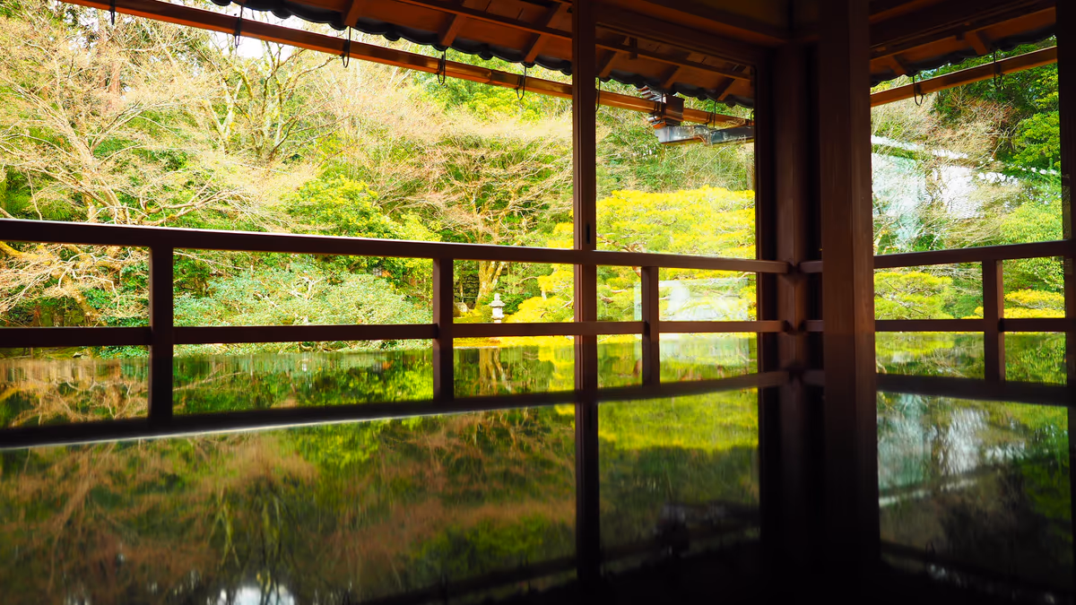 投稿写真：緑映