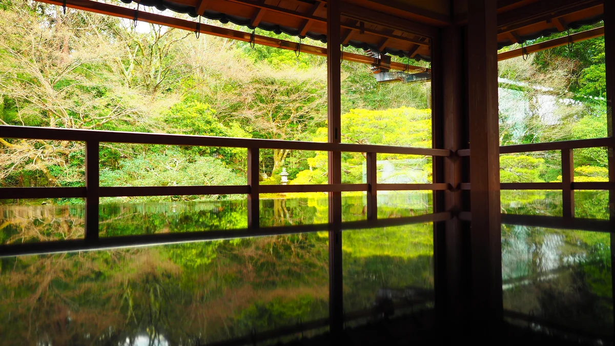 投稿写真：緑映