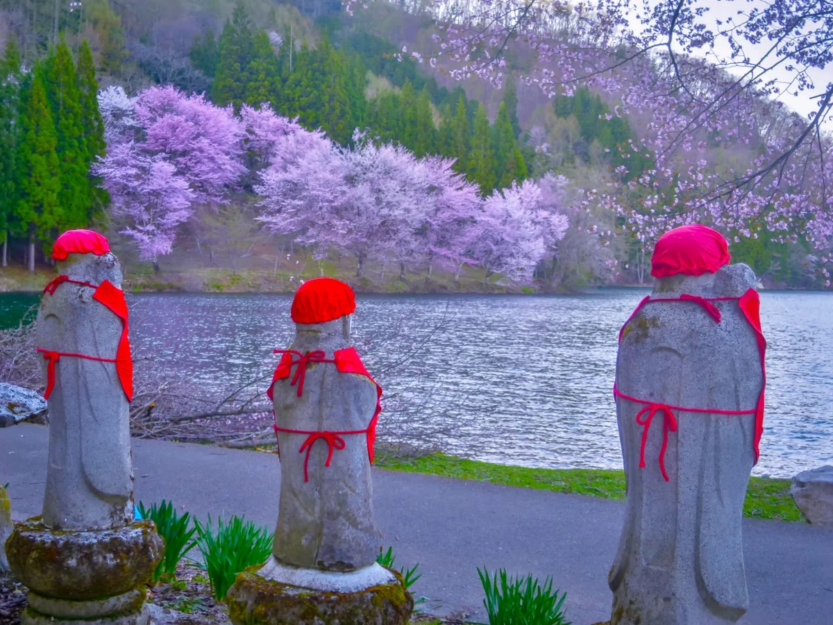 投稿写真：お地蔵さんと満開の桜