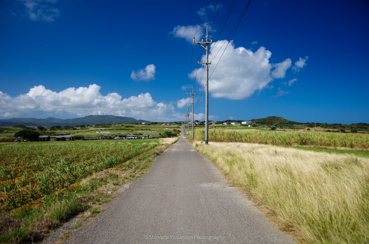 投稿写真：沖縄県小浜島・シュガーロード