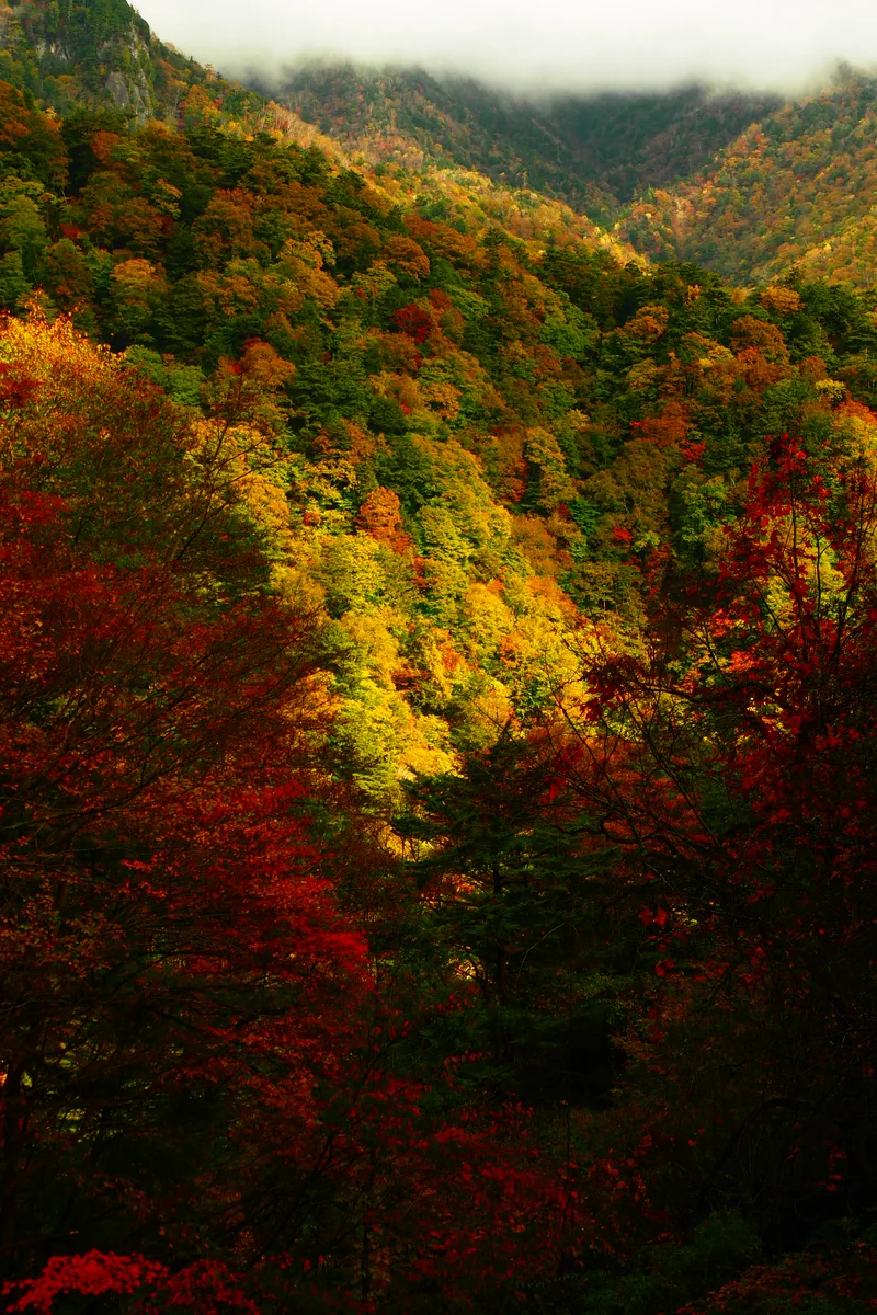 投稿写真：西沢渓谷　秋の峰