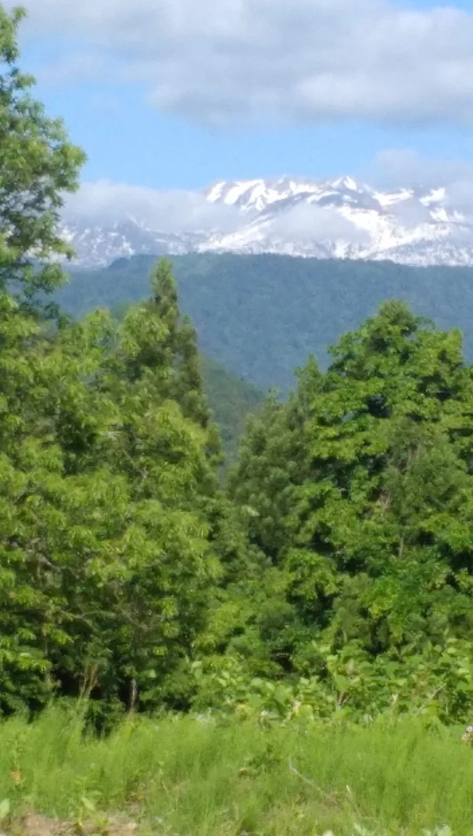 投稿写真：5月の立山連峰
