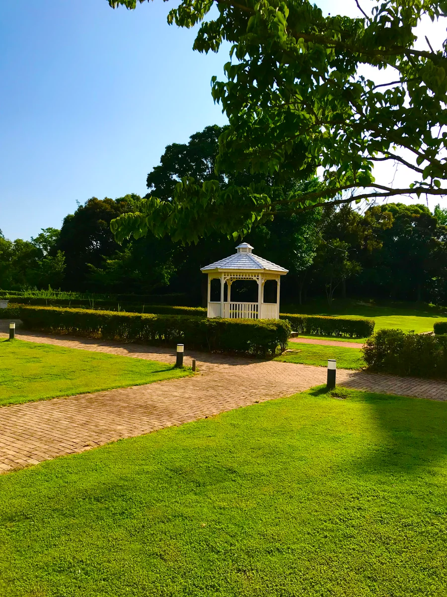 投稿写真：貴婦人の休日