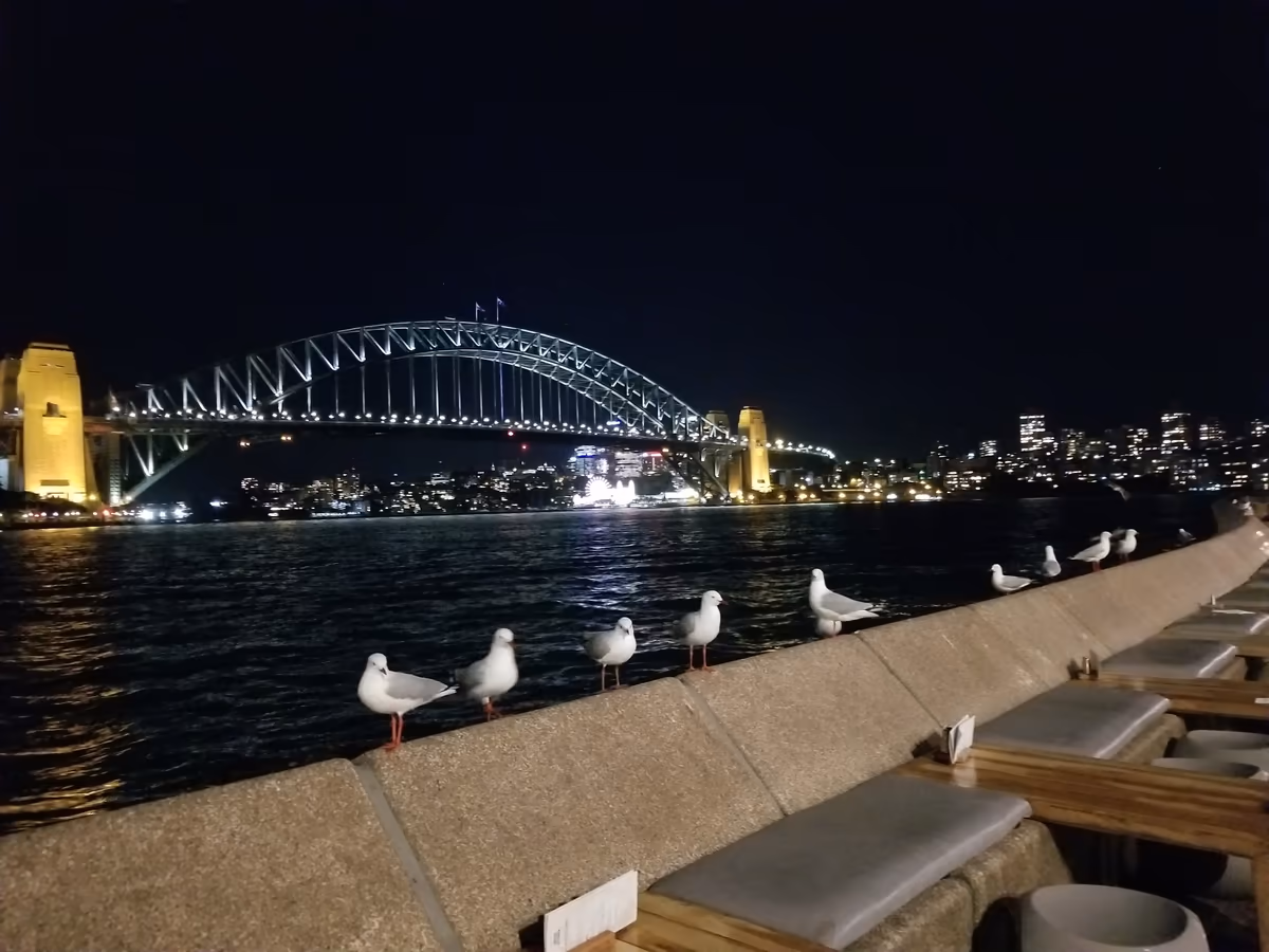 投稿写真：夜景をつまみに…