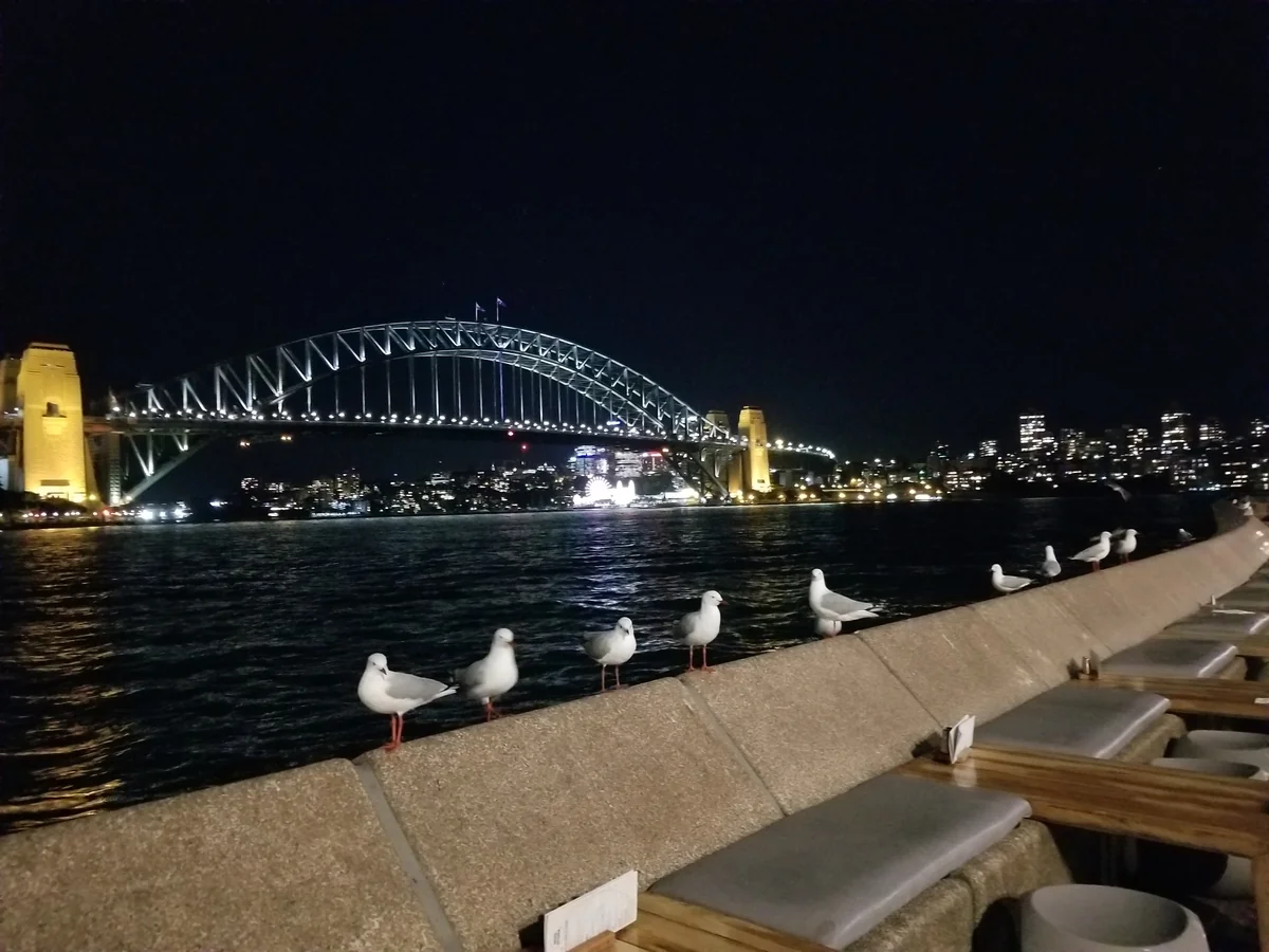 投稿写真：夜景をつまみに…