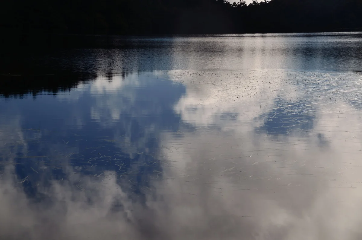 投稿写真：白駒池　水面