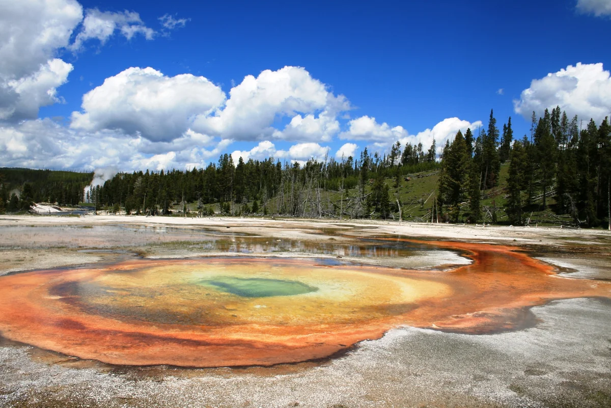 投稿写真：イエローストーン