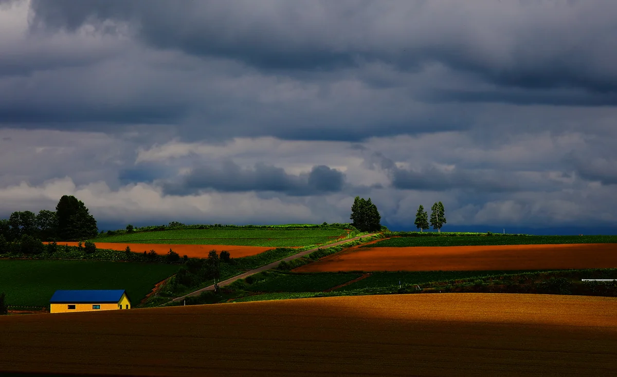 投稿写真：秋色の風が吹いている今の時期ではこの頃が懐かしい。