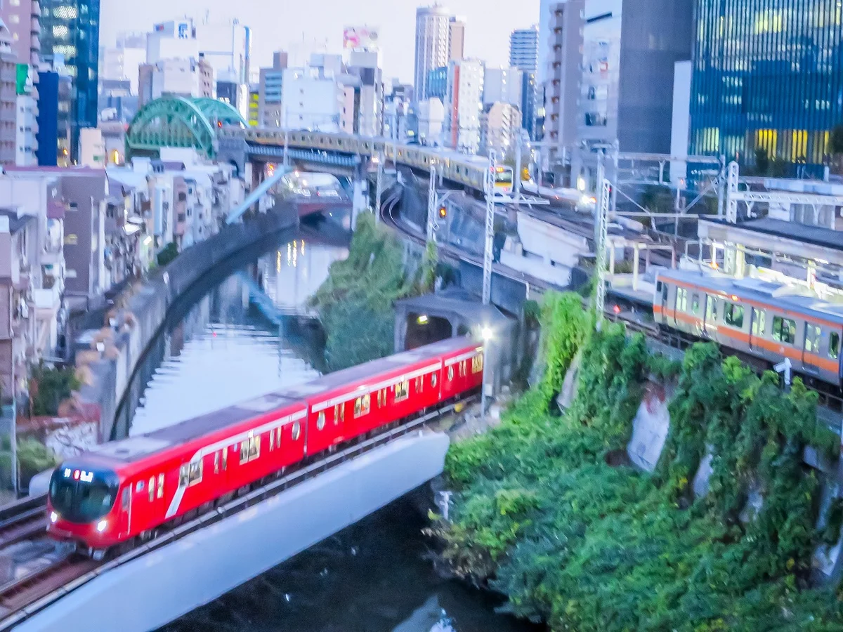 投稿写真：三線揃い踏み