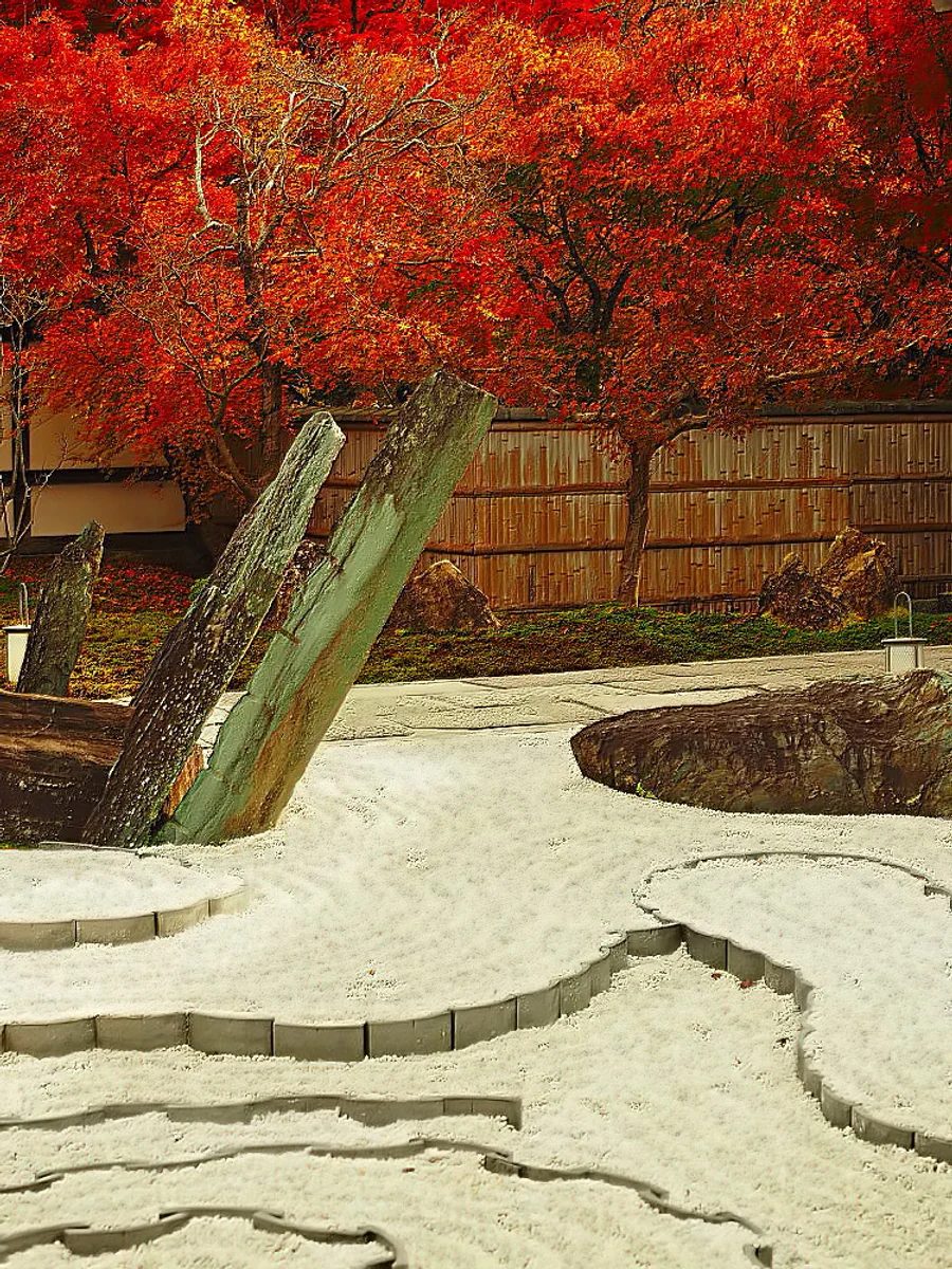 投稿写真：圓光寺　紅葉