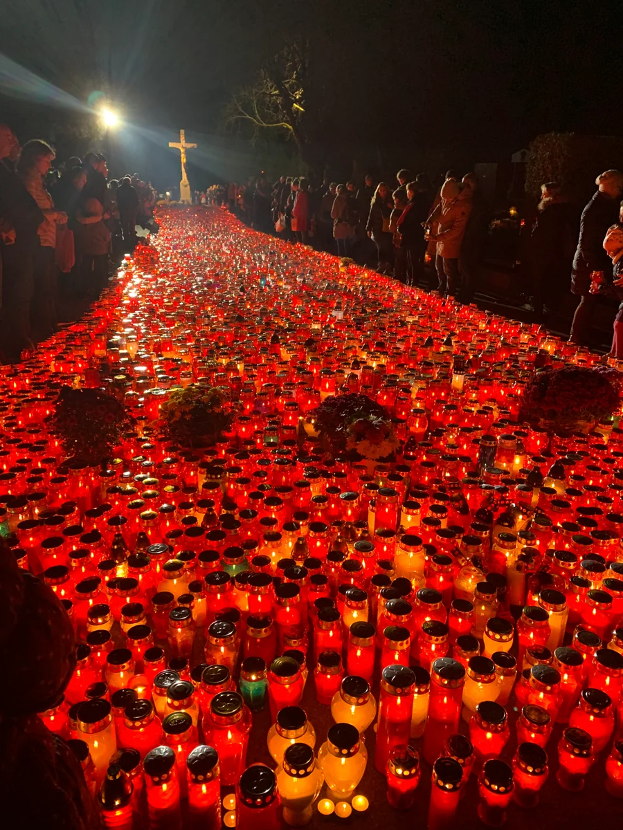 投稿写真：諸聖人の灯火