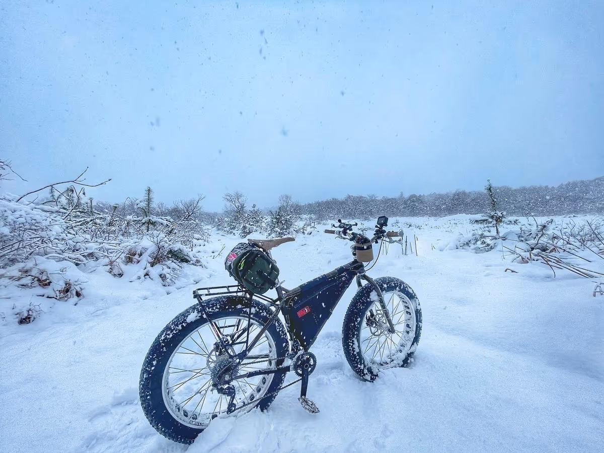 投稿写真：雪