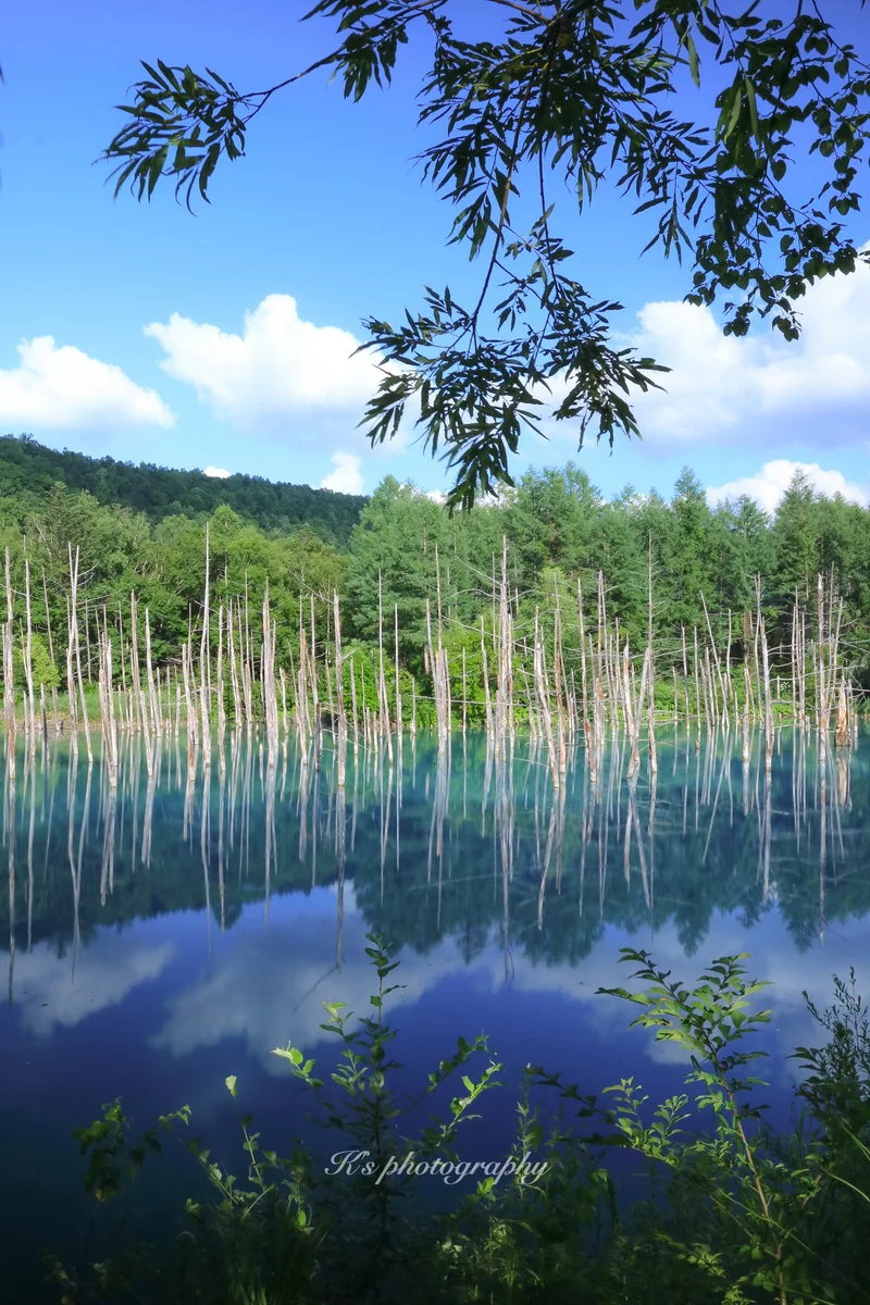 投稿写真：青い池