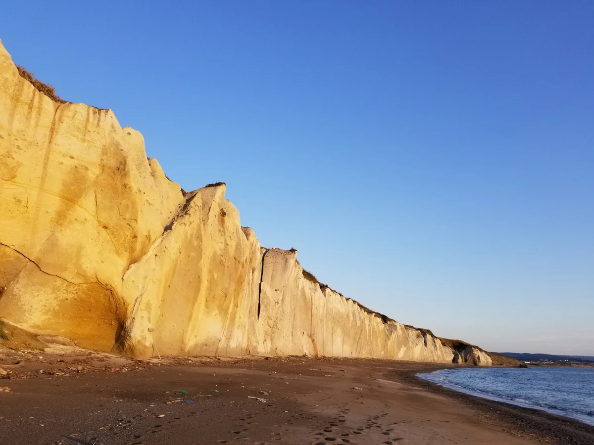 投稿写真：シラフラ