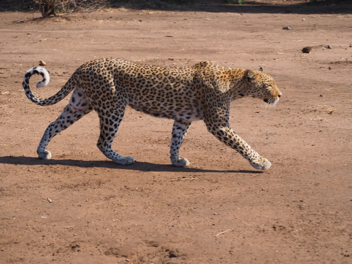 投稿写真：美しき物