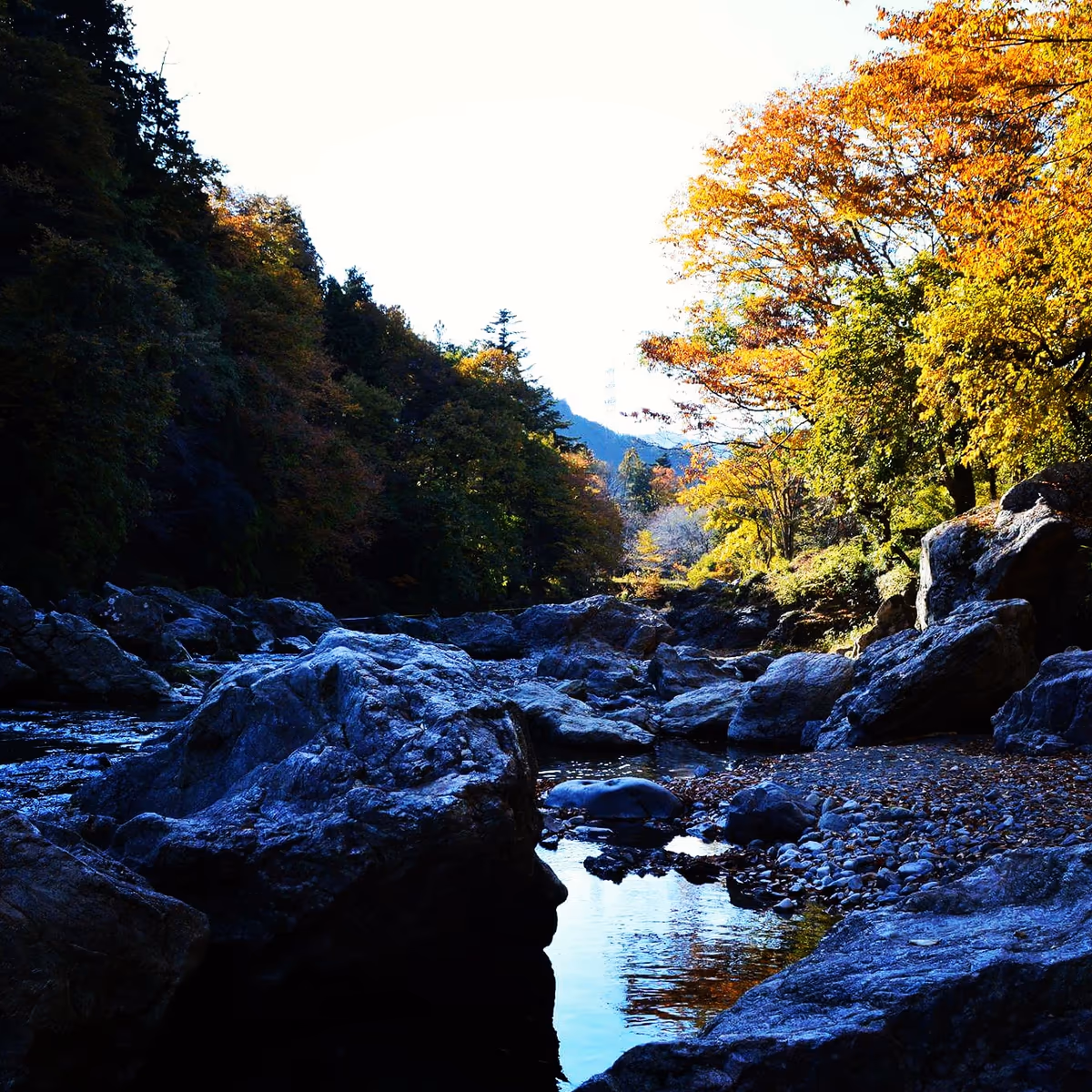 投稿写真：秋川渓谷