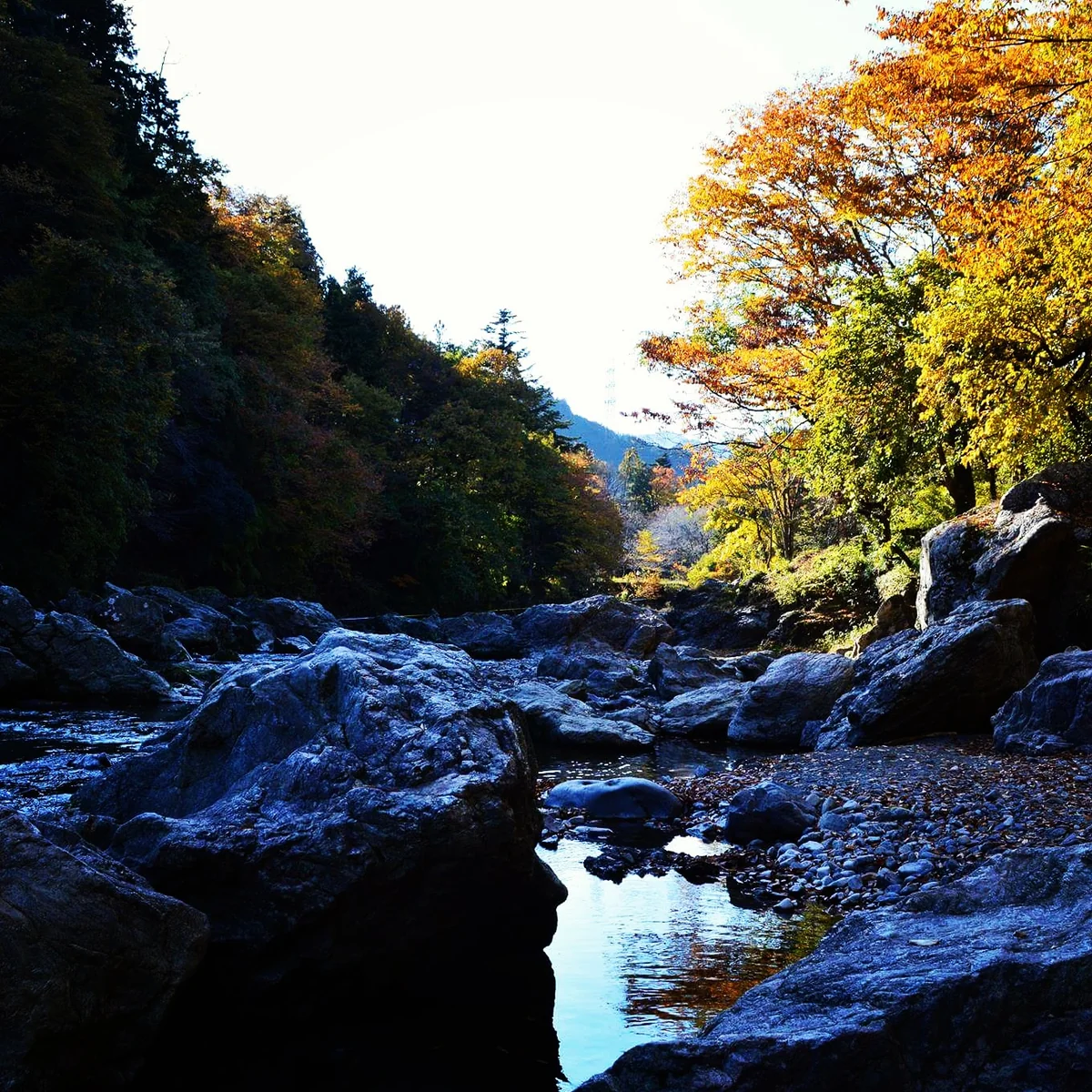 投稿写真：秋川渓谷