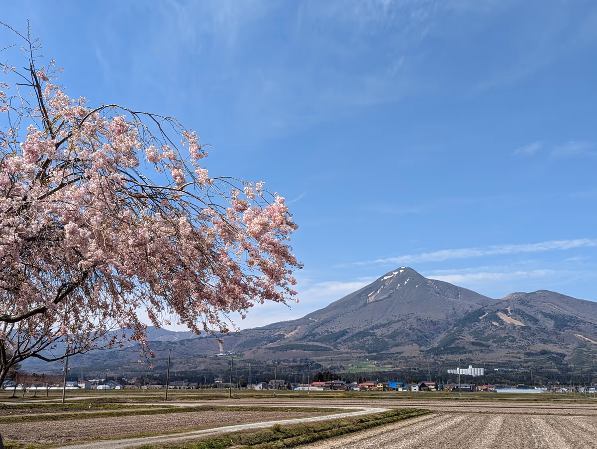 投稿写真：磐梯山と桜と