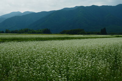  | 絶景事典