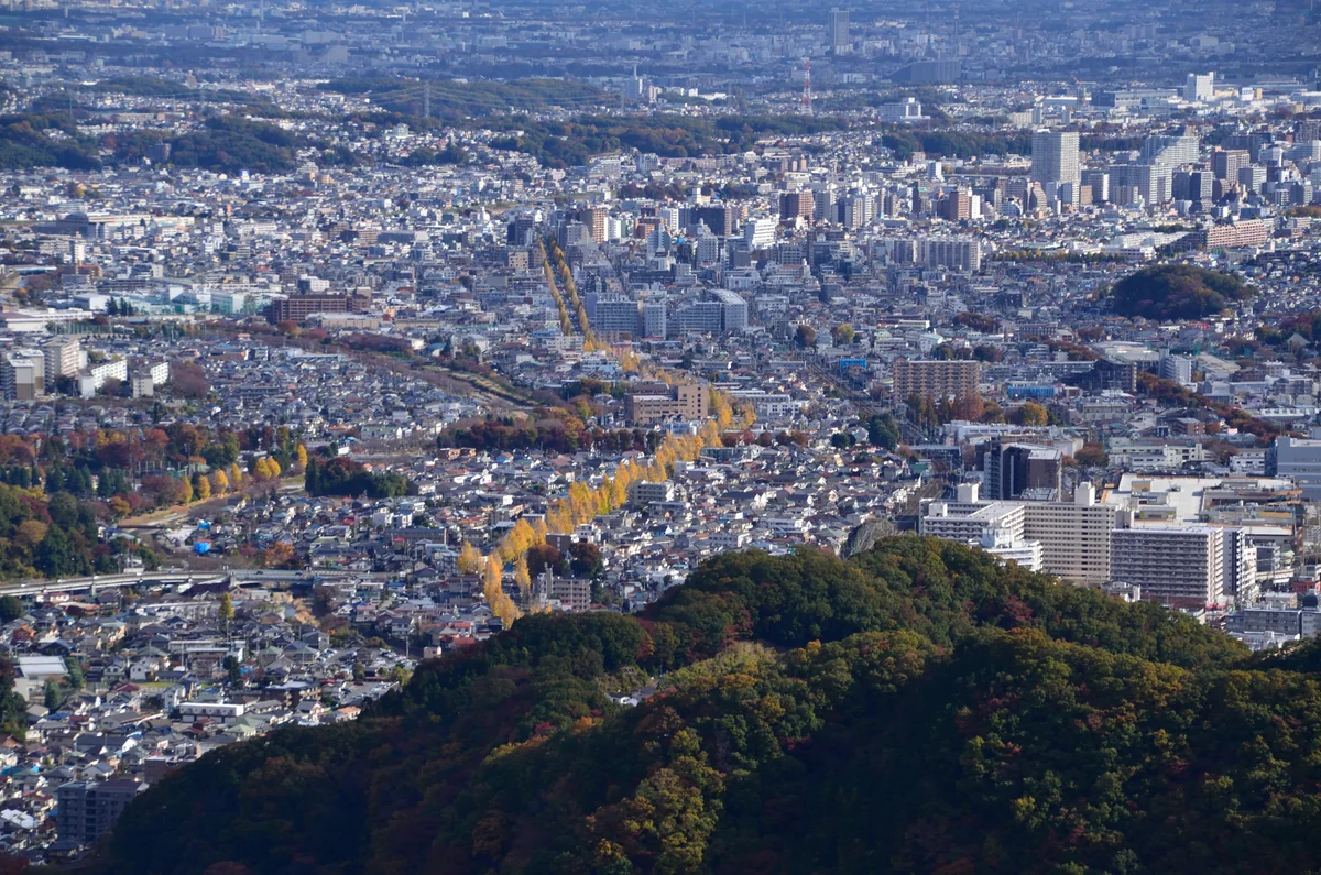 投稿写真：黄色い回廊