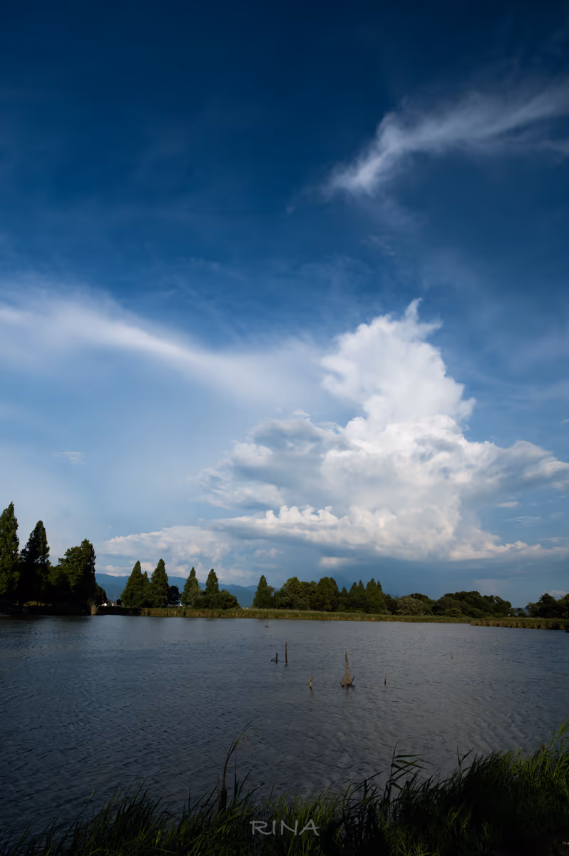 投稿写真：入道雲