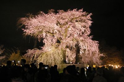  | 絶景事典