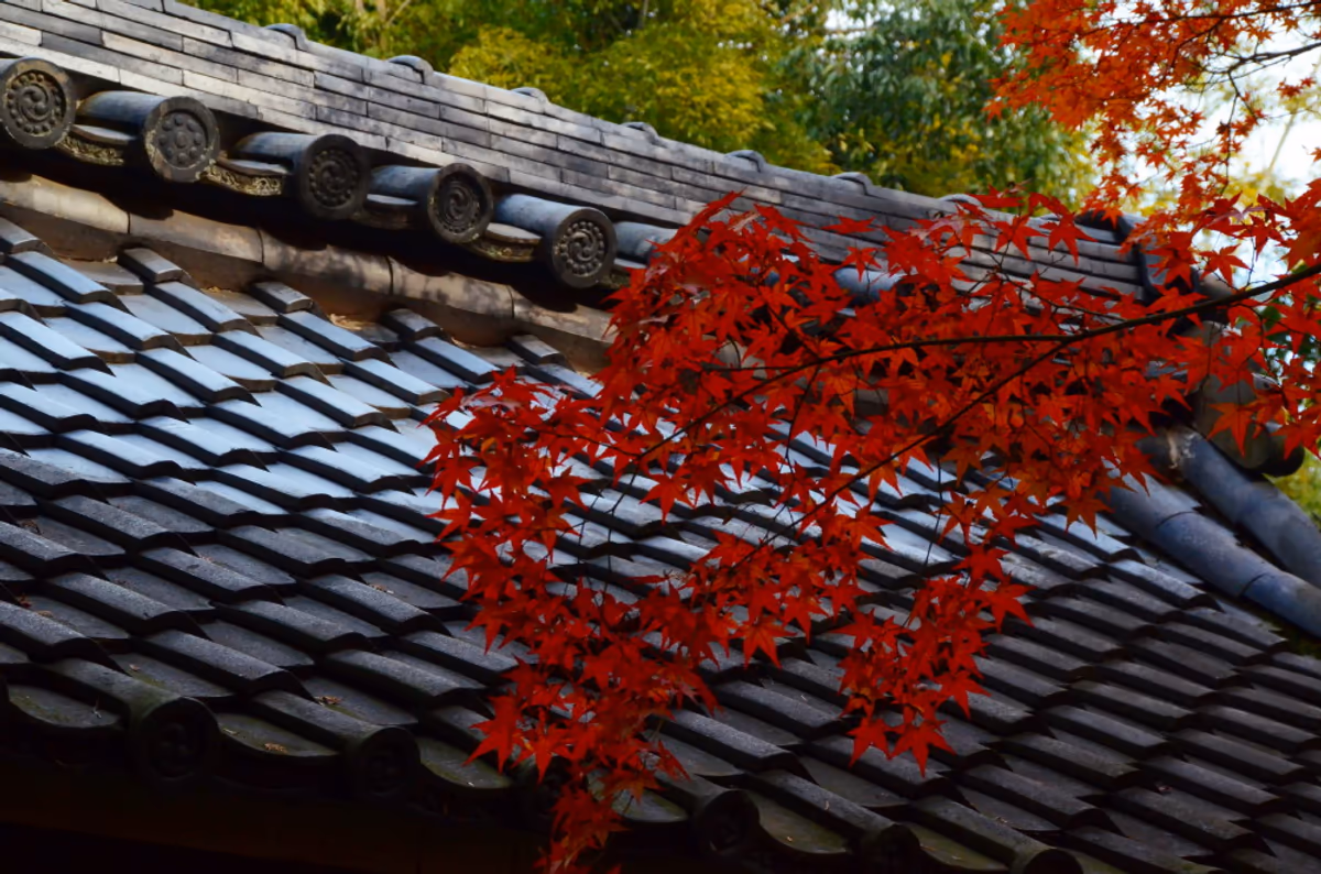 投稿写真：高桐院紅葉