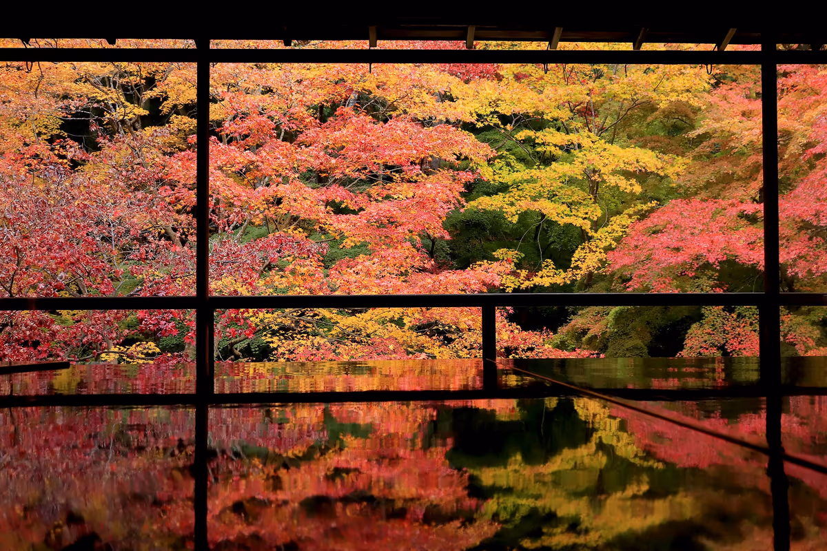 投稿写真：無