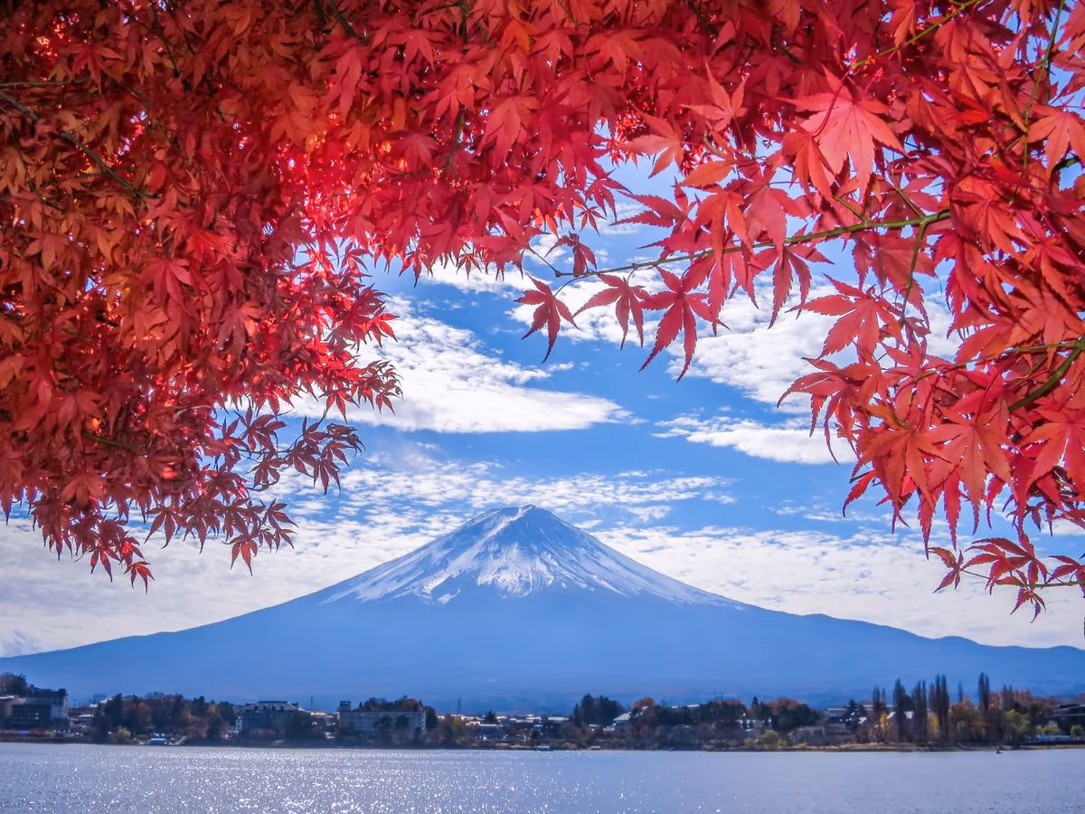 投稿写真：もみじの紅葉と富士山