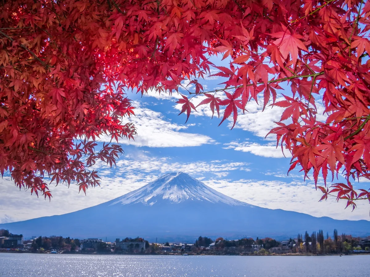 伊藤 和平さんの投稿写真