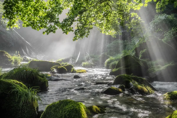 投稿：青天の霹靂