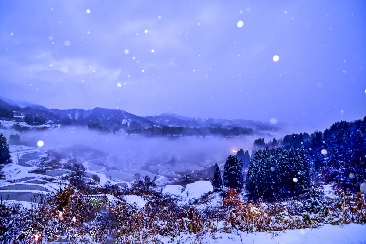 投稿写真：積雪