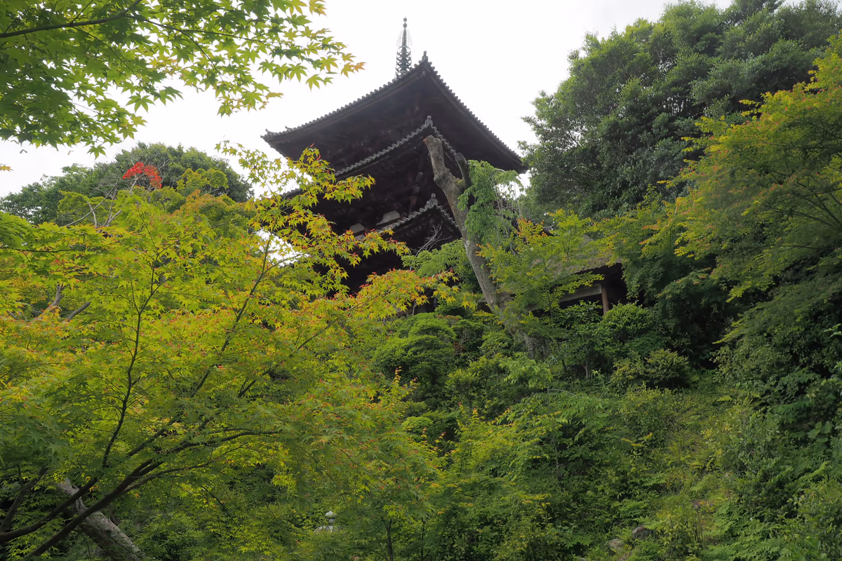 投稿写真：當麻寺東塔