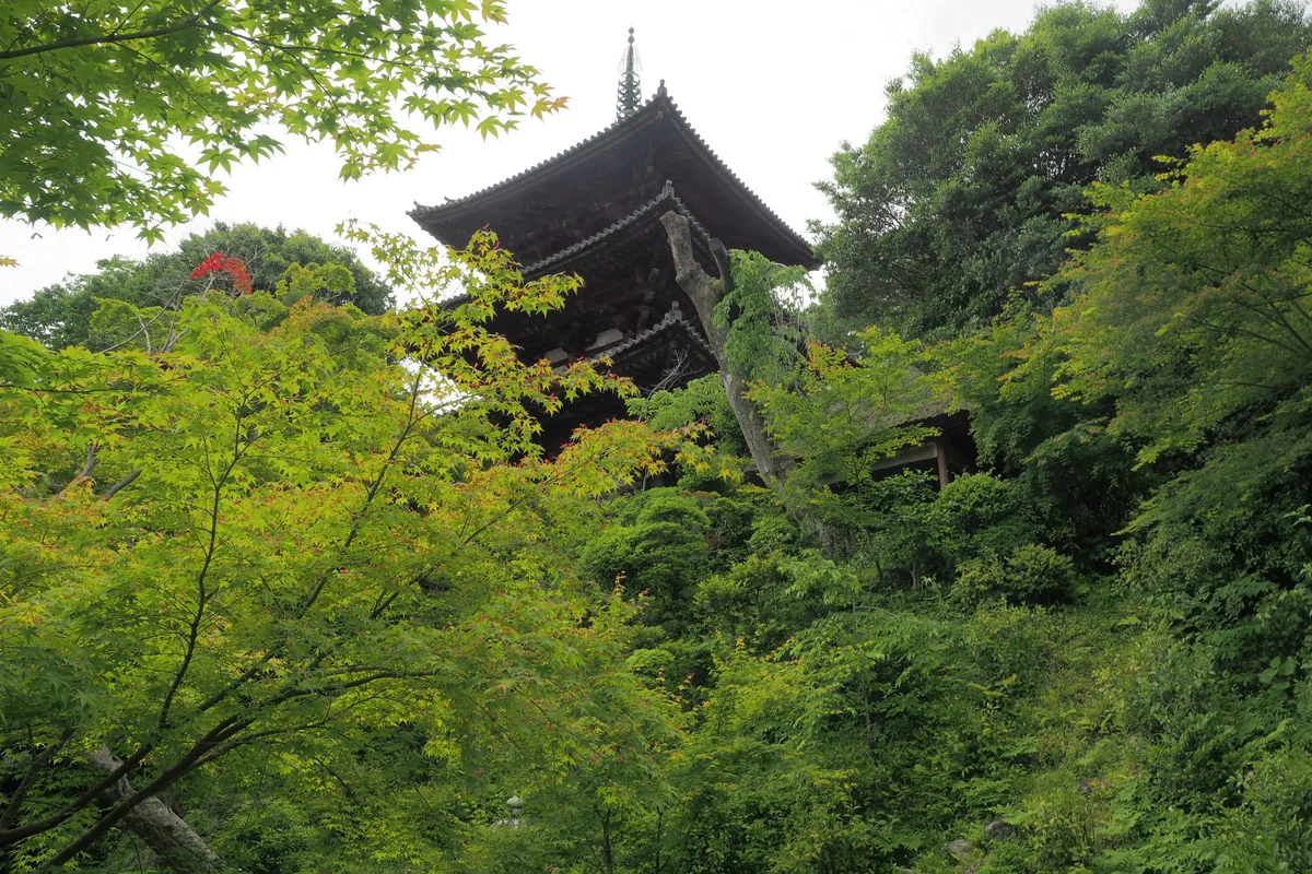 投稿写真：當麻寺東塔