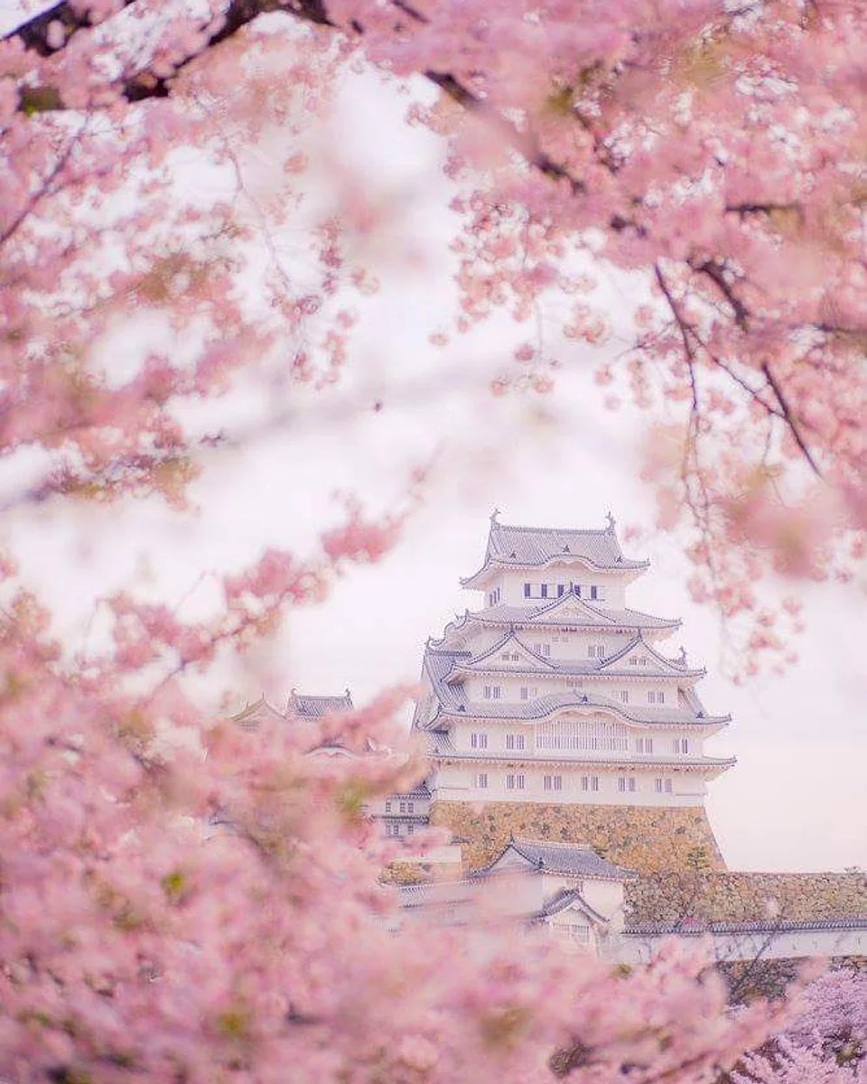 Opinkさんの投稿写真