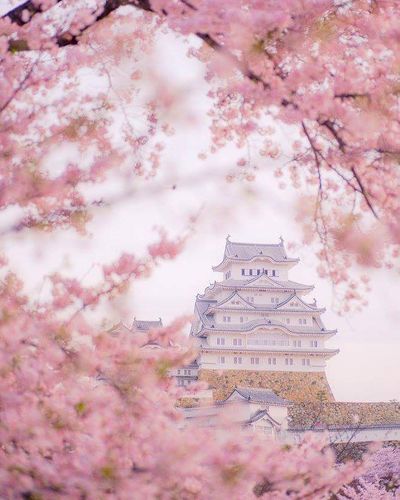  | 絶景事典
