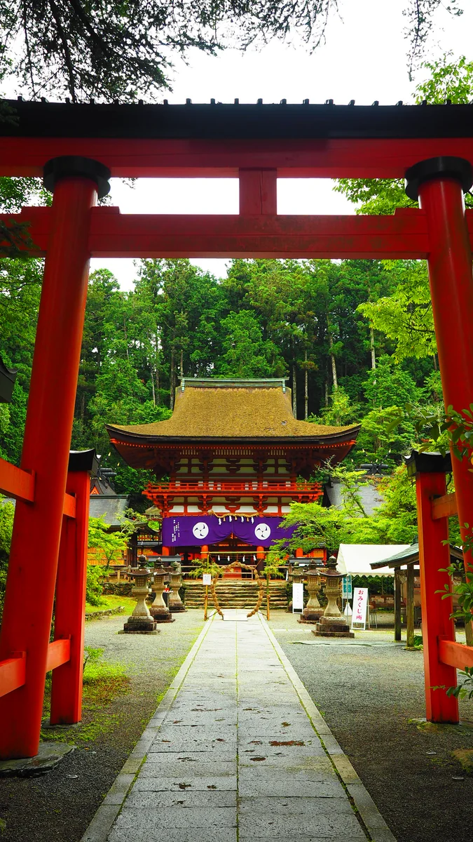投稿写真：丹生都比売神社