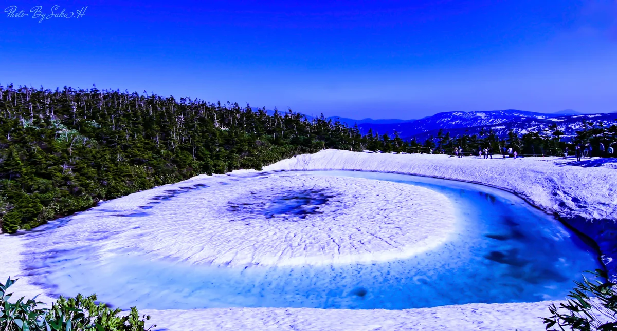 投稿写真：祝　開眼