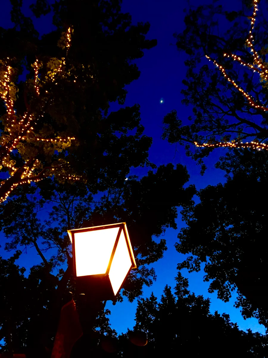 投稿写真：月に代わってお仕置きよ。