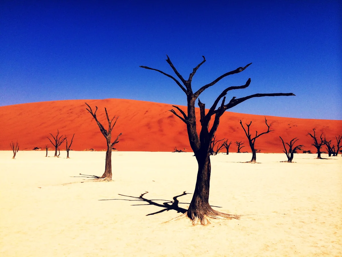 routezero.ginzaさんの投稿写真