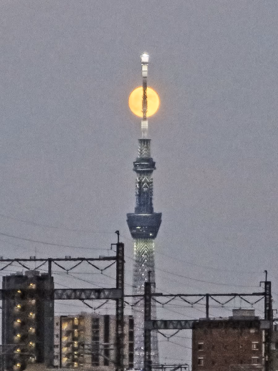 投稿写真：小望月パールスカイツリー