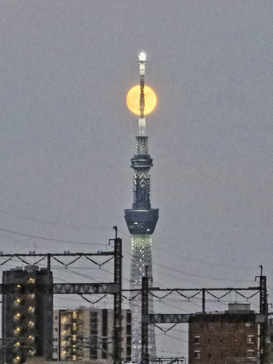 投稿写真：小望月パールスカイツリー