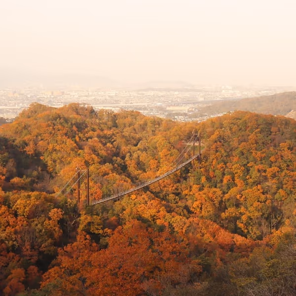 投稿：紅葉の吊り橋