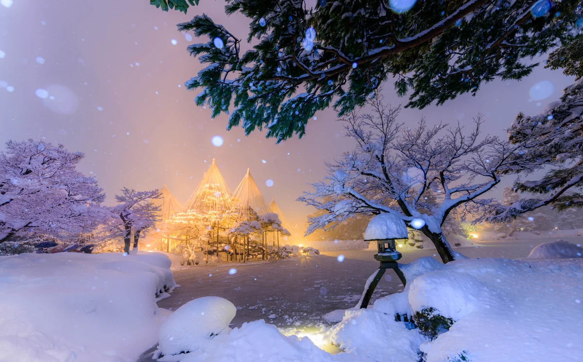 投稿写真：兼六園ライトアップ