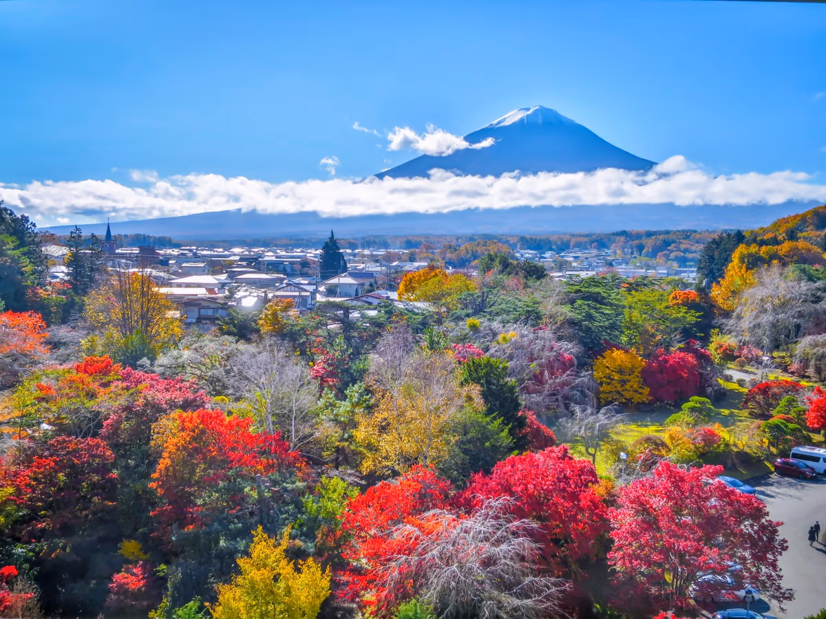 投稿写真：色とりどりの紅葉と富士山