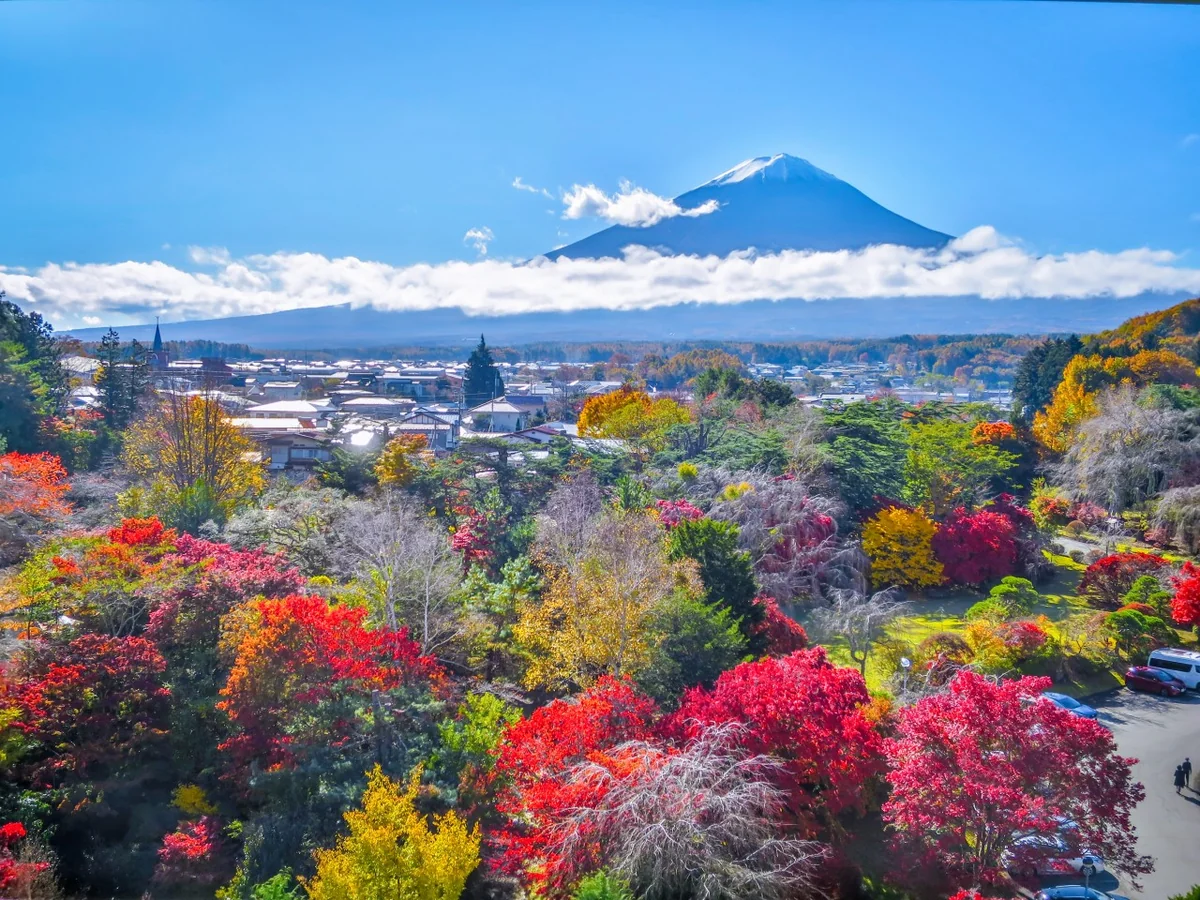 投稿写真：色とりどりの紅葉と富士山