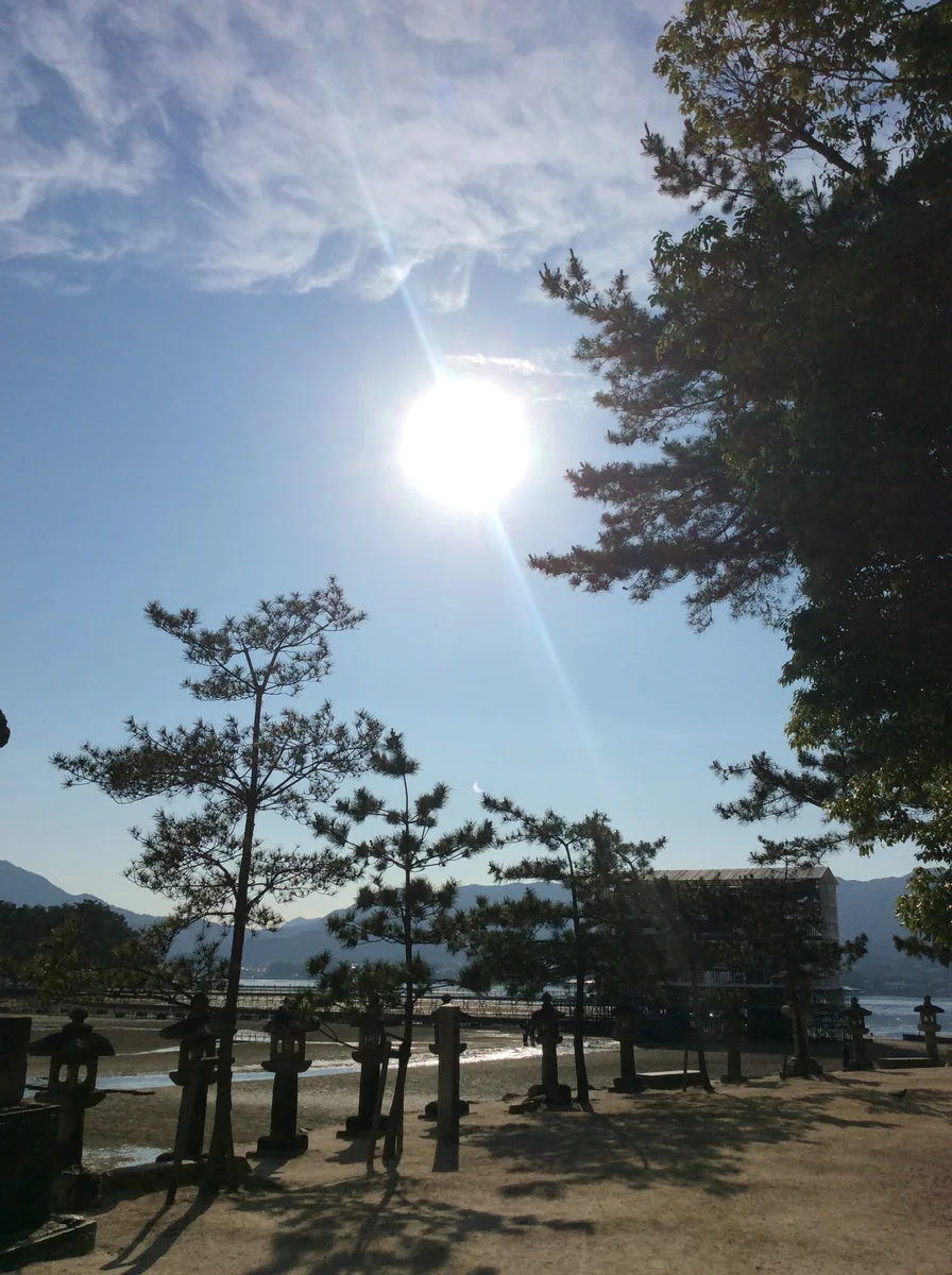 投稿写真：夏至