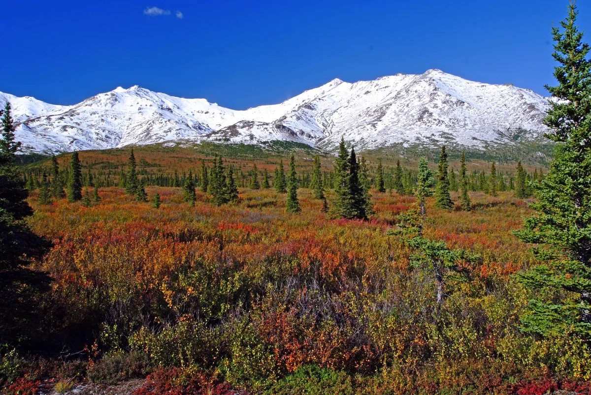 投稿写真：秋の楽園