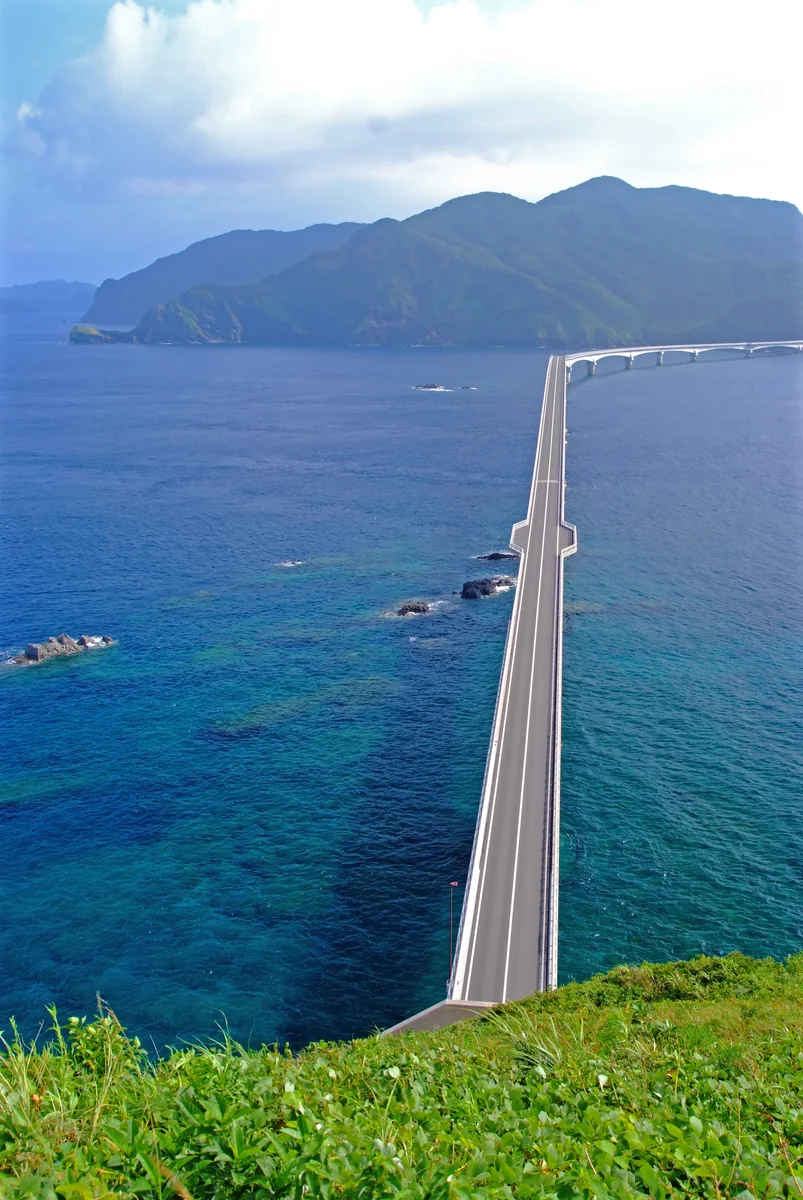 投稿写真：はるばる来たばい！